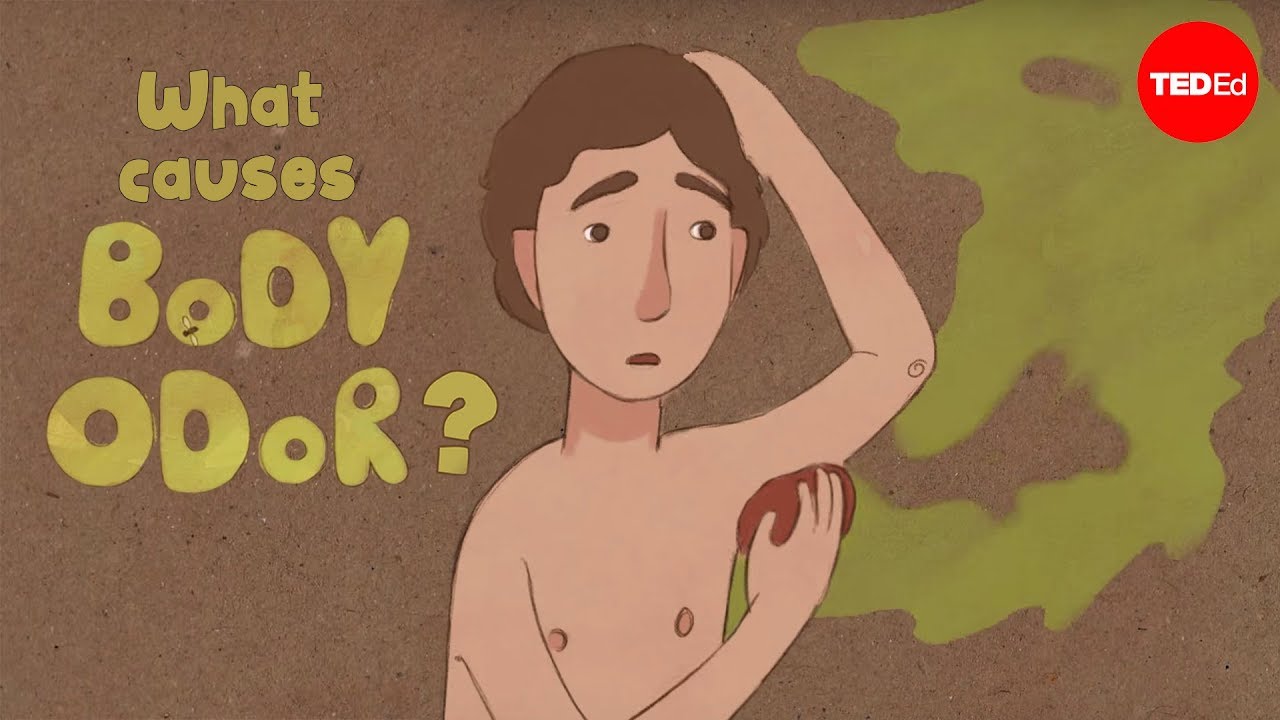What causes body odor? – Mel Rosenberg